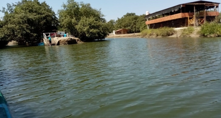 Especialistas del nivel primaria y secundaria de UGEL Tumbes visitaron El Santuario Nacional Los Manglares de Tumbes